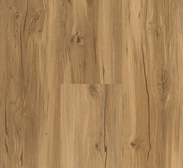 PARADOR Basic 30 Dub Memory přírodní kartáčovaná struktura 1649300 - 1.83 m2