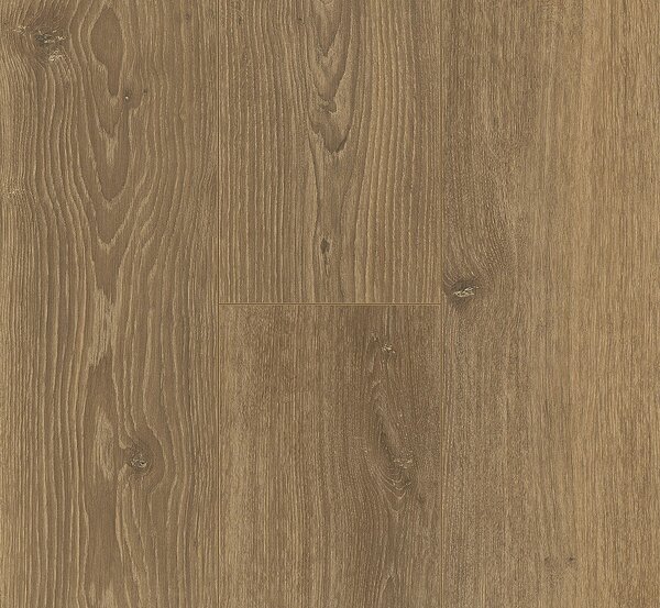 PARADOR Trendtime 6 Dub studioline medový 1744708 - 2.67 m2
