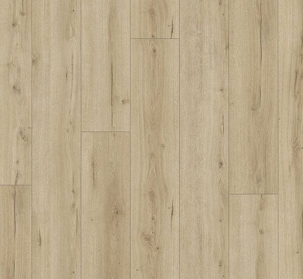 PARADOR Trendtime 6 Dub loft pure svěží struktura 1744709 - 2.67 m2