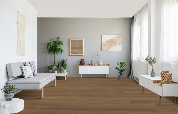 PARADOR Trendtime 6 Dub studioline medový 1744708 - 2.67 m2