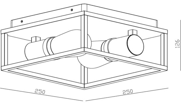 Lucide 27100/02/30 - Koupelnové stropní svítidlo CARLYN 2xE14/6W/230V IP54