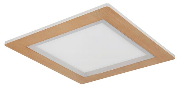 STROPNÍ LED SVÍTIDLO, 40/40/5 cm Globo - Online Only svítidla, Online Only