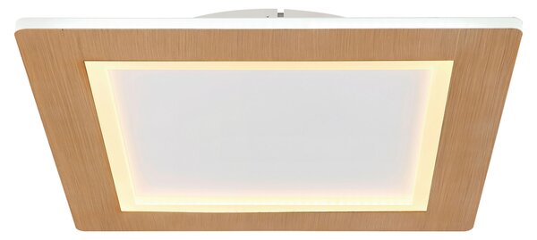STROPNÍ LED SVÍTIDLO, 40/40/5 cm Globo - Online Only svítidla, Online Only