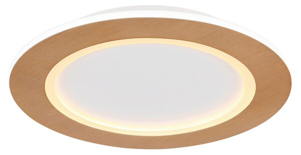 STROPNÍ LED SVÍTIDLO, 40/5 cm Globo - Online Only svítidla, Online Only
