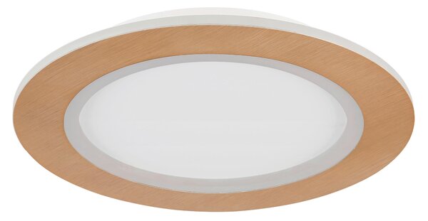 STROPNÍ LED SVÍTIDLO, 40/5 cm Globo - Online Only svítidla, Online Only