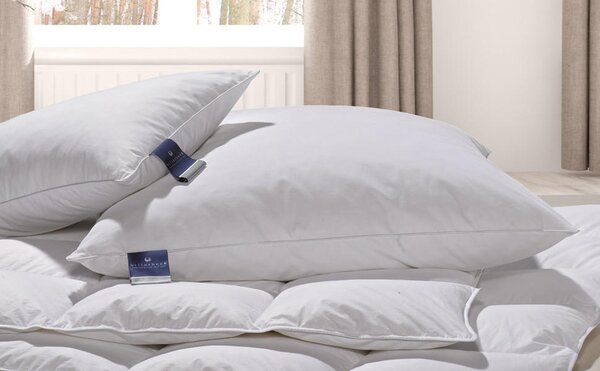 POLŠTÁŘ POD HLAVU, 40/40 cm Billerbeck - Polštáře pod hlavu