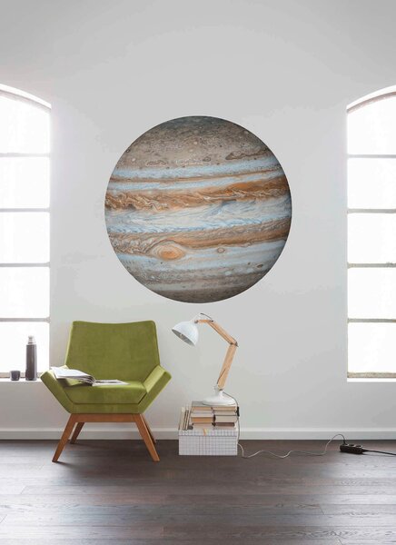 FOTOTAPETA velikost: 125 cm Komar - Online Only tapety, Online Only