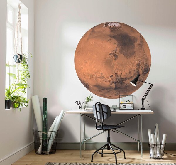 FOTOTAPETA velikost: 125 cm Komar - Online Only tapety, Online Only
