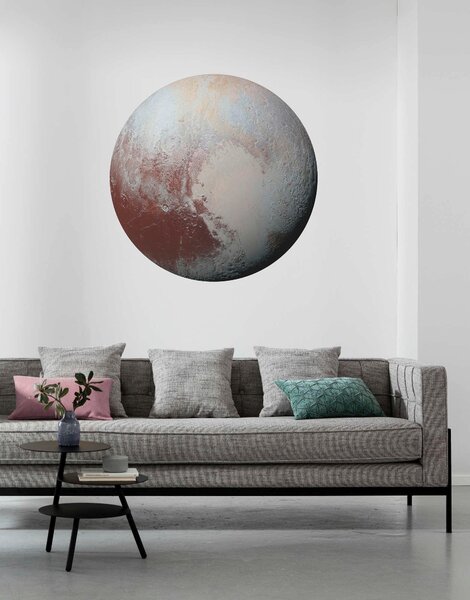 FOTOTAPETA velikost: 125 cm Komar - Online Only tapety, Online Only