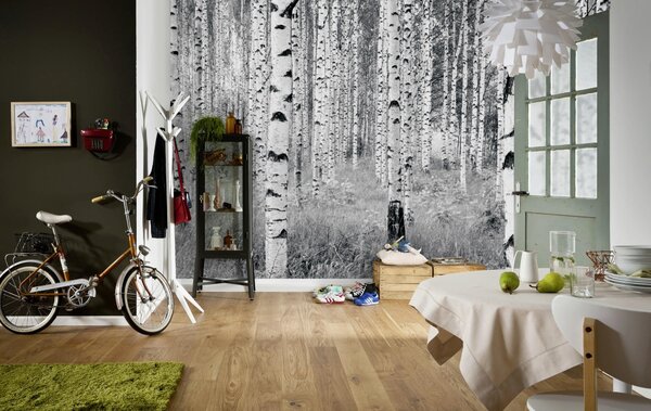 VLIESOVÁ TAPETA velikost: 368/248 cm - Online Only tapety, Online Only
