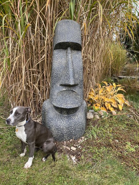 Moai - ve velikostech 60 až 300 cm