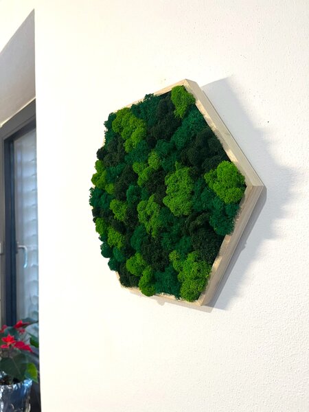 Mechový obraz - Hexagon - mix Velikost rámu: 21cm (v nejširším bodě)