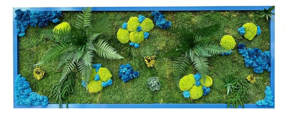 Mechový obraz 3D s rostlinami Velikost: 1. 40x40cm