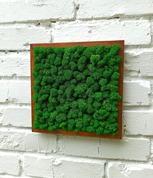 Mechový obraz - LIŠ Druh rámu: 50x30cm