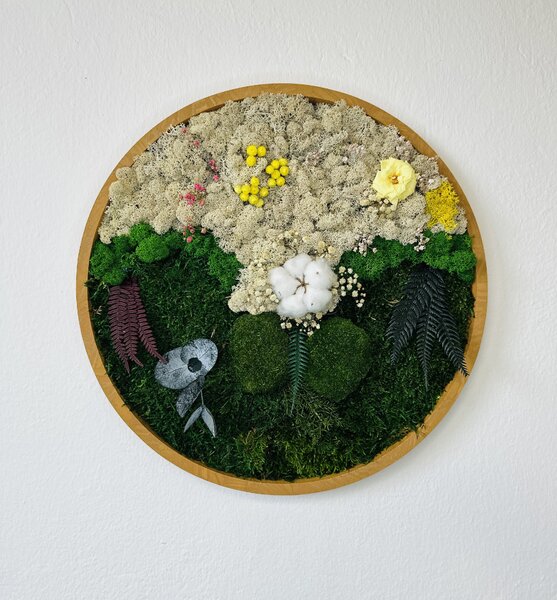 Mechový obraz - rostliny Velikost rámu: 30cm