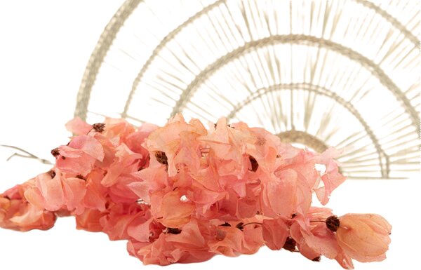 Sušené květiny Bougainvillea Branch – růžová