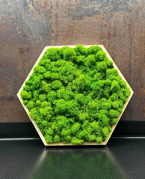 Mechový obraz – Hexagon Velikost rámu: 21cm (v nejširším bodě)