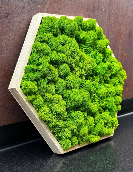 Mechový obraz – Hexagon Velikost rámu: 21cm (v nejširším bodě)