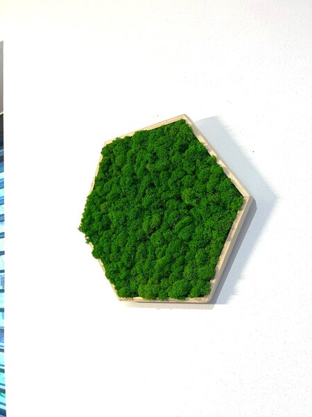 Mechový obraz – Hexagon Velikost rámu: 21cm (v nejširším bodě)