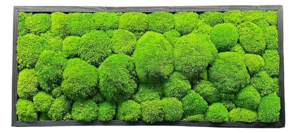 Mechový obraz - Kopečkový mech Druh rámu: 90x30cm