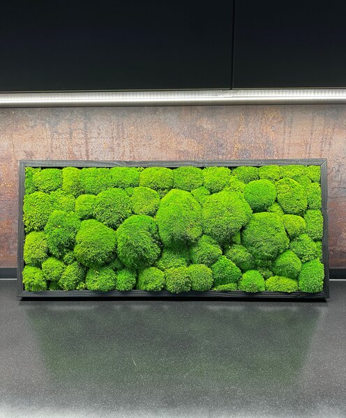 Mechový obraz - Kopečkový mech Druh rámu: 90x30cm