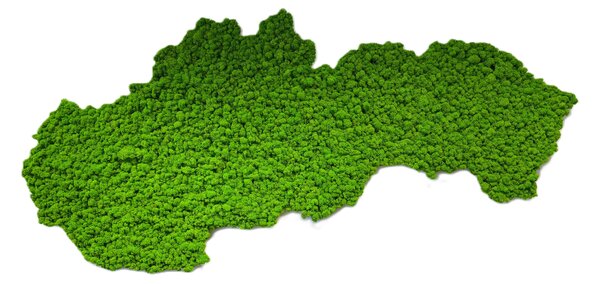 Mechový obraz – mapa Slovenska Velikost: 135 x 67cm