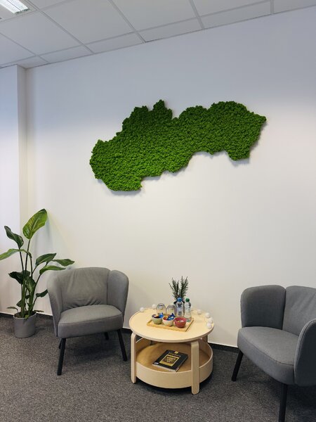 Mechový obraz – mapa Slovenska Velikost: 135 x 67cm