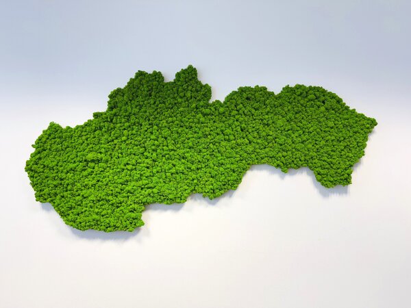 Mechový obraz – mapa Slovenska Velikost: 135 x 67cm