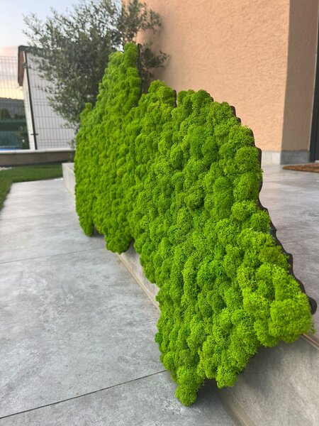 Mechový obraz – mapa Slovenska Velikost: 135 x 67cm