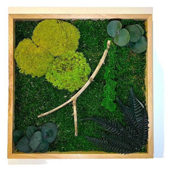 Mechový obraz s rostlinami 3D - čtverec Velikost: 60x60cm