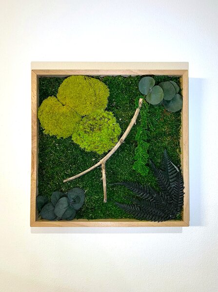 Mechový obraz s rostlinami 3D - čtverec Velikost: 60x60cm