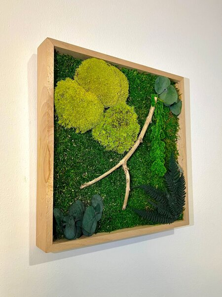 Mechový obraz s rostlinami 3D - čtverec Velikost: 60x60cm