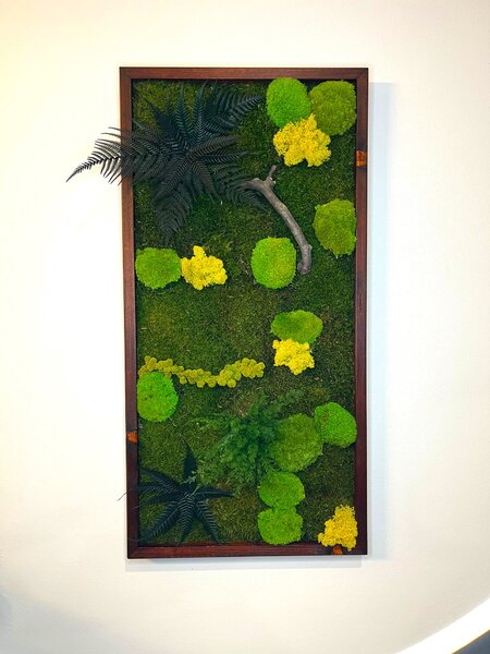 Mechový obraz s rostlinami 3D dark Druh rámu: 90x30cm