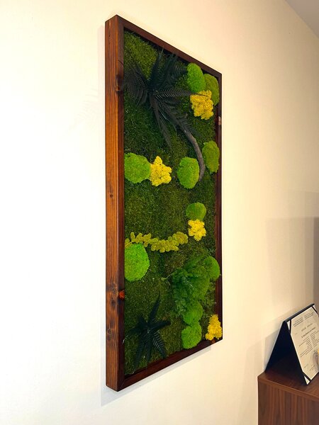 Mechový obraz s rostlinami 3D dark Druh rámu: 90x30cm