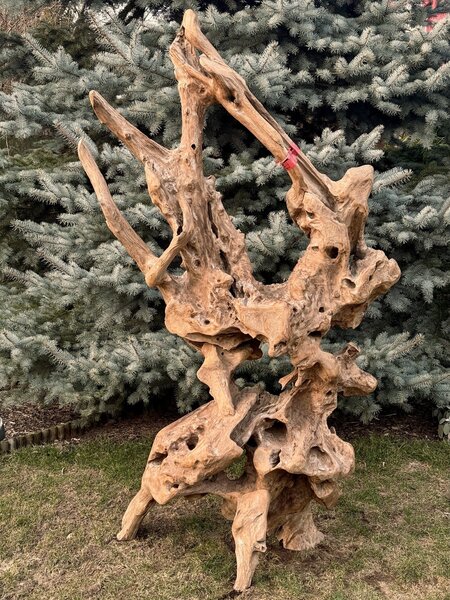 Teaková skulptura z kořenového dřeva – výška 203 cm