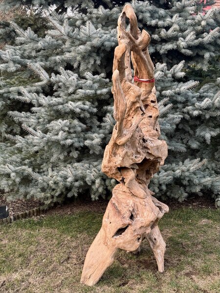 Teaková skulptura z kořenového dřeva – výška 203 cm