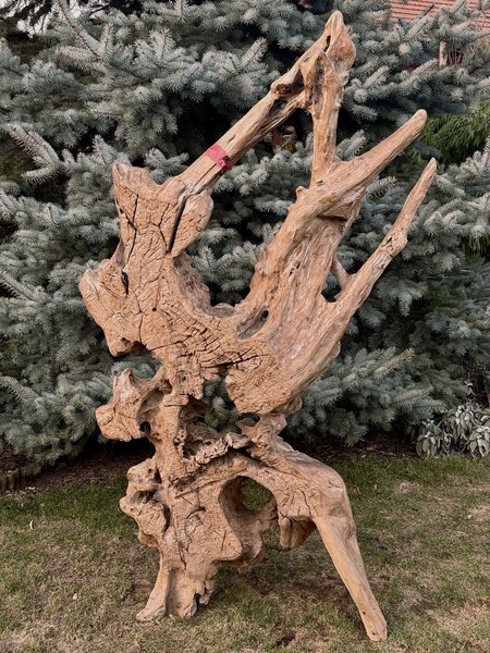 Teaková skulptura z kořenového dřeva – výška 203 cm
