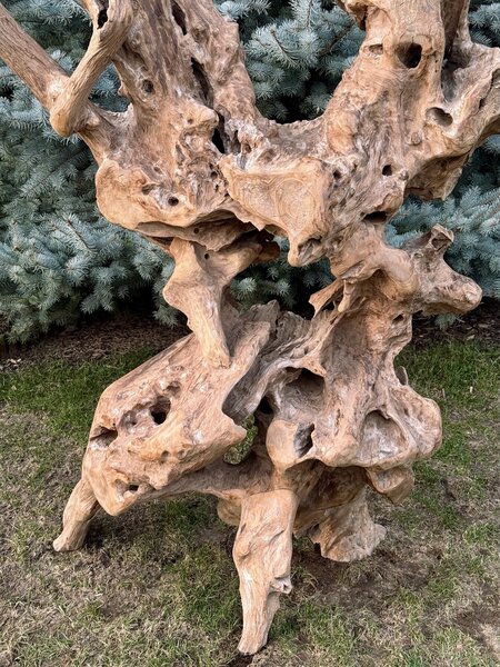 Teaková skulptura z kořenového dřeva – výška 203 cm