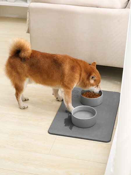 Absorpční podložka PET 60x39 cm a 2 keramické misky DOGS 15,5x7 cm