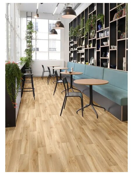 PVC podlaha Tornado Willow oak 602L