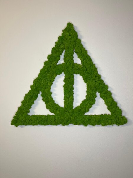 Mechový obraz - Harry Potter Velikost rámu: 33x29cm