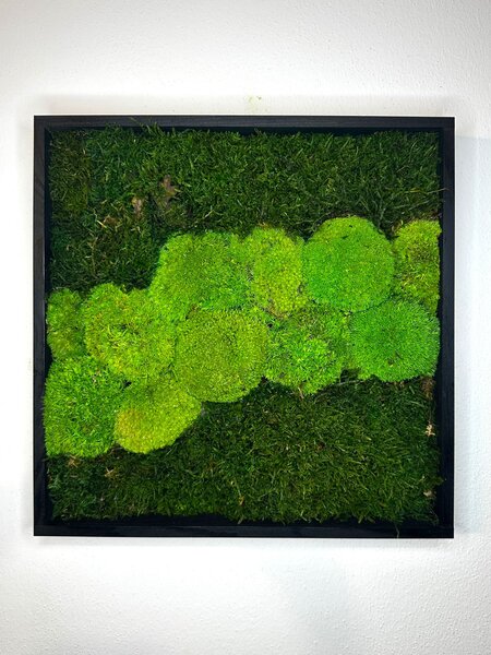 Mechový obraz Quad Velikost: 20x20cm