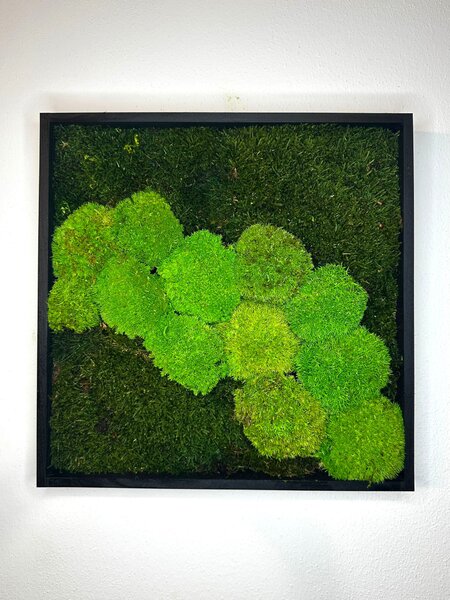 Mechové obrazy TRIO Q Velikost: 20x20cm
