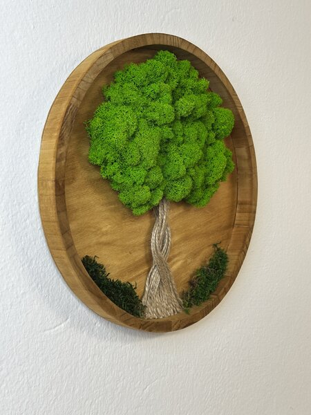 Mechový obraz - živý kruh Velikost rámu: 30cm