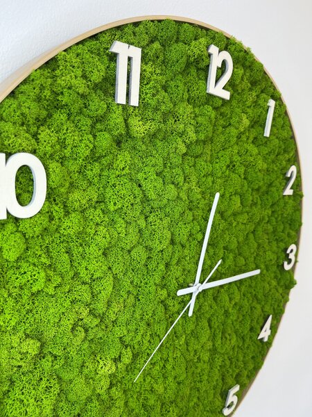 Mechové hodiny – lišš Velikost rámu: 40cm