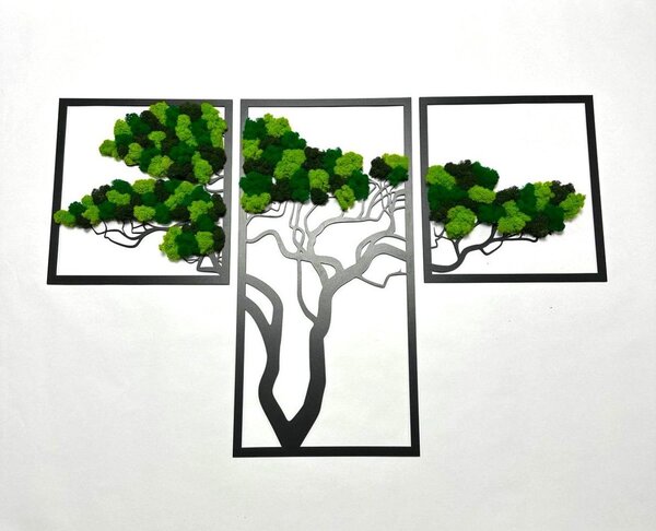 Mechový obraz - strom TRIO Velikost rámu: 78cm x 49cm