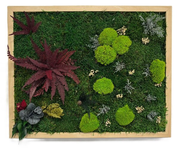 Mechový obraz – Paradise II Velikost rámu: 50x40cm
