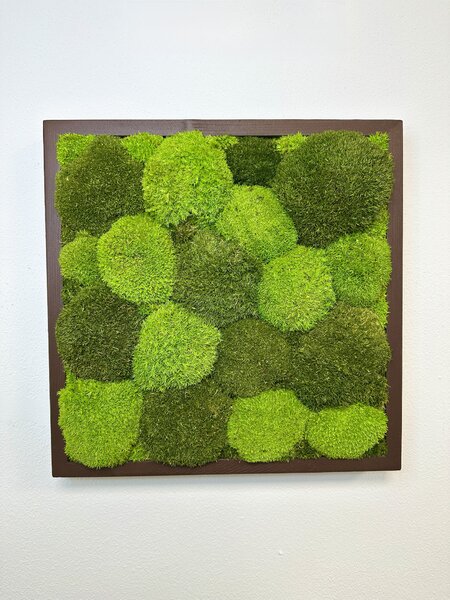 Mechový obraz - Kopečkový čtverec Velikost: 40cm x 40cm