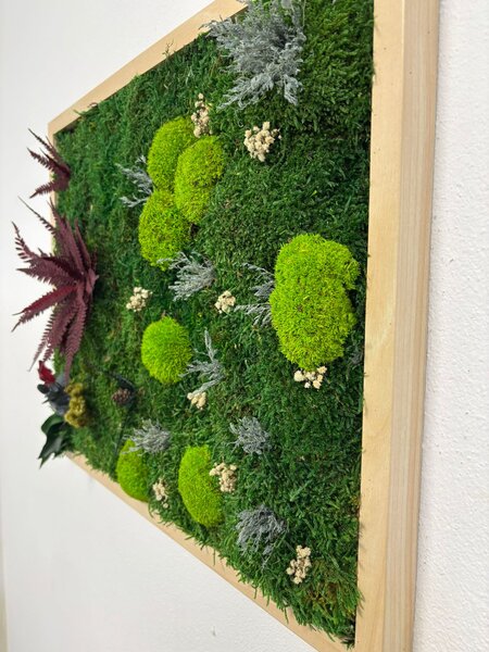 Mechový obraz – Paradise II Velikost rámu: 50x40cm