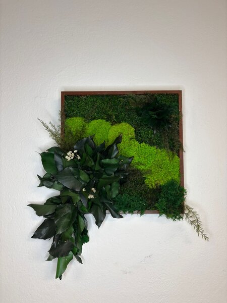 Mechový obraz s rostlinami 3D - čtverec Velikost: 20x20cm